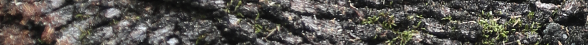 Stacks Image 920